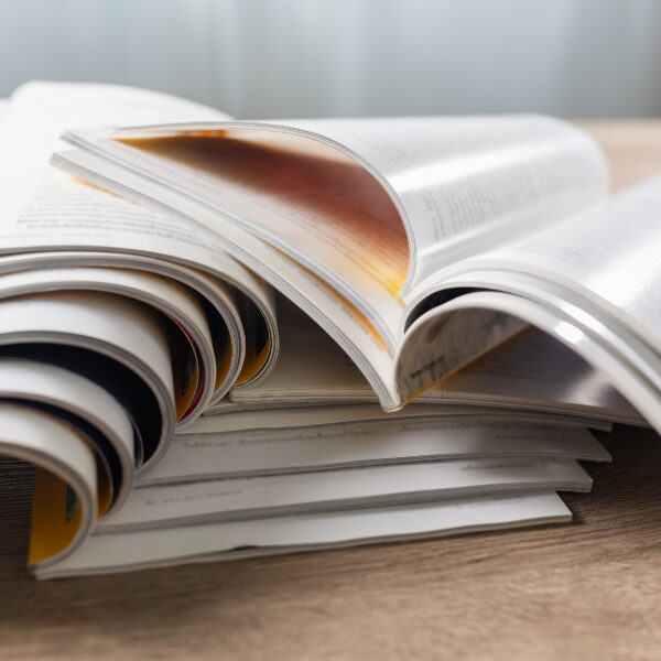Publications de l'université